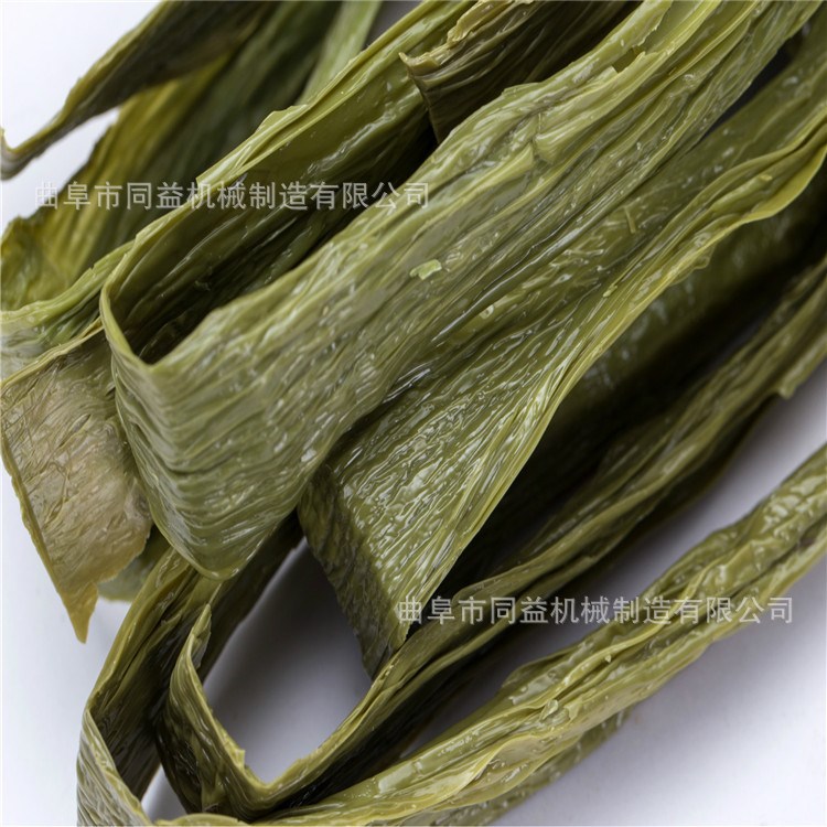 设备加热能源广小户型家用电做油皮的机器 豆花豆衣机 腐竹油皮机