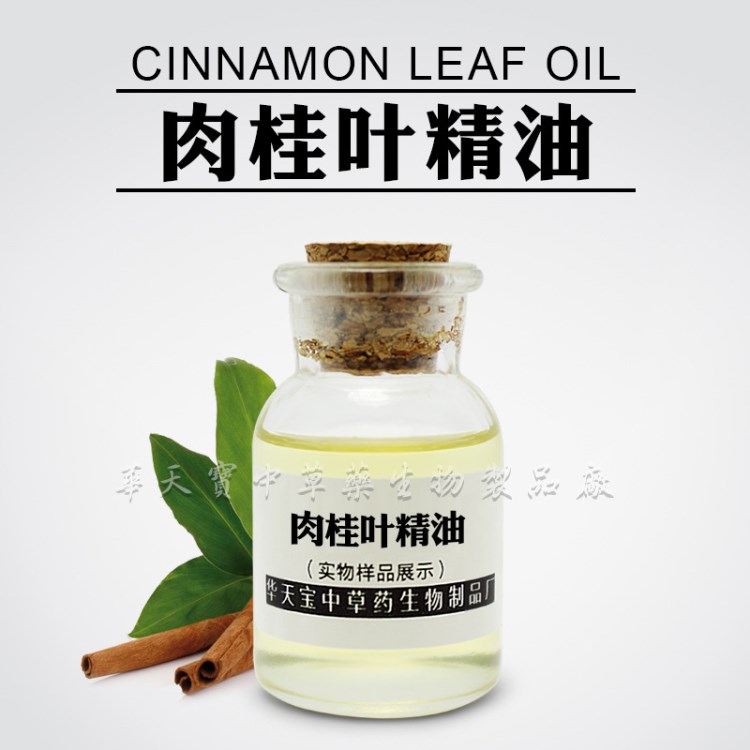 ［精油］肉桂叶｜8015-91-6｜Cinnamon Leaf Oil 欢迎询价