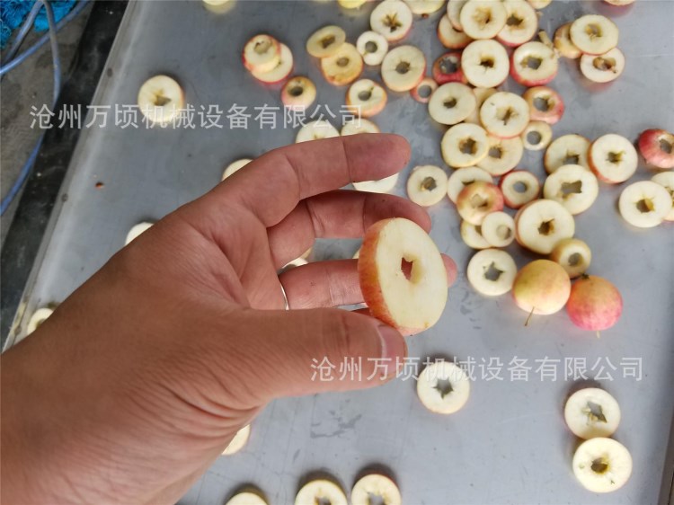 保德油枣切片机全自动临泽小枣切圈机