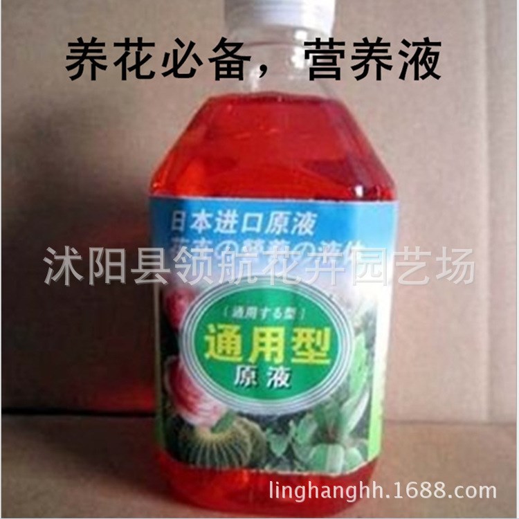 批发花卉营养液 观叶植物 发财树 绿萝 富贵竹专用肥300ML