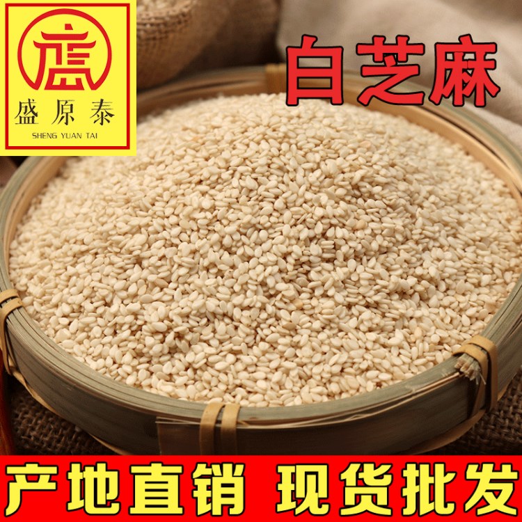 精选白芝麻仁 无杂质烘焙原料脱皮芝麻 烧烤调料品