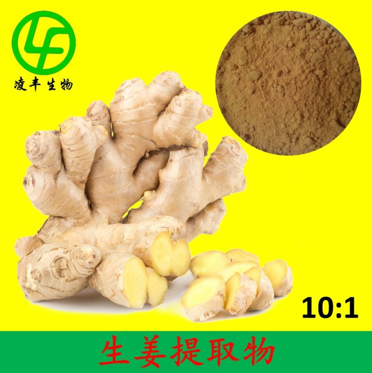 姜辣素5% 生姜提取物 生姜提取物生产厂家 全国包邮