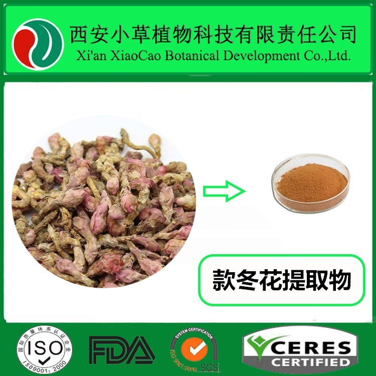 款冬花提取物  款冬花粉   厂家现货供应