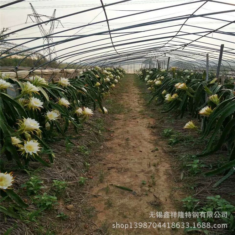 江西大棚管吉安农业蔬菜葡萄连栋大棚钢管专用热浸锌管保12年不锈