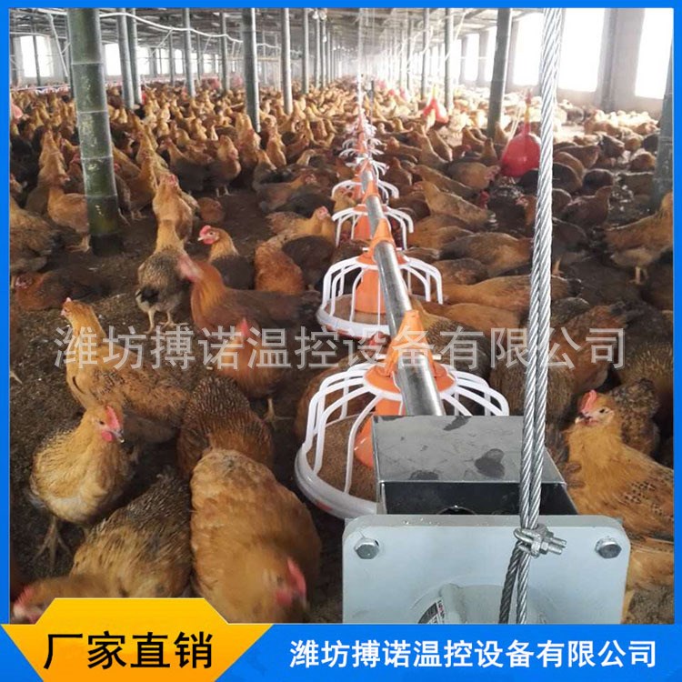 鸡场自动喂料机 全自动塞片料线 养鸡设备 蛋鸡自动上料机