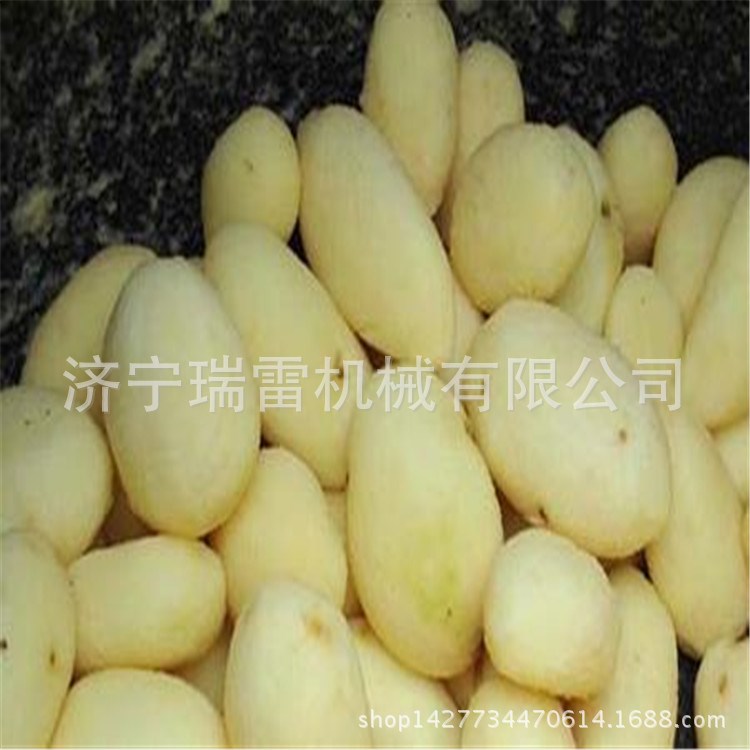 不锈钢削皮机 供应 土豆除皮脱皮机 旋转式剥皮机 破损率低