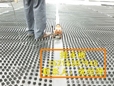 供应蚌埠车库排水板/3.0cm排水板土工布