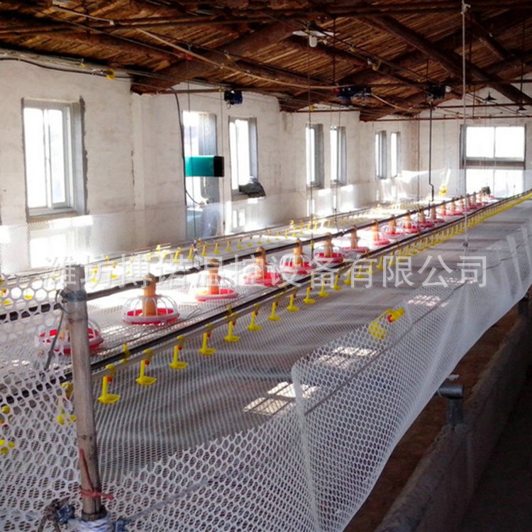 潍坊搏诺批发 自动喂料机 养鸡全套设备 肉鸡料线