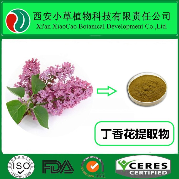 丁香花提取物  丁香花粉   厂家现货供应