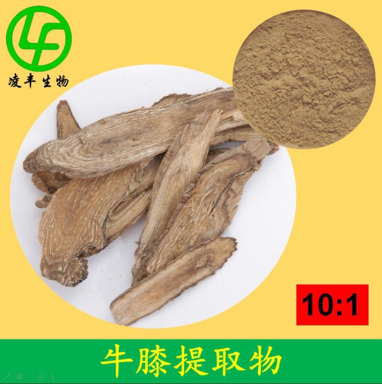 牛膝提取物 10:1 怀牛膝/川牛膝提取物 含牛膝多糖 现货供应