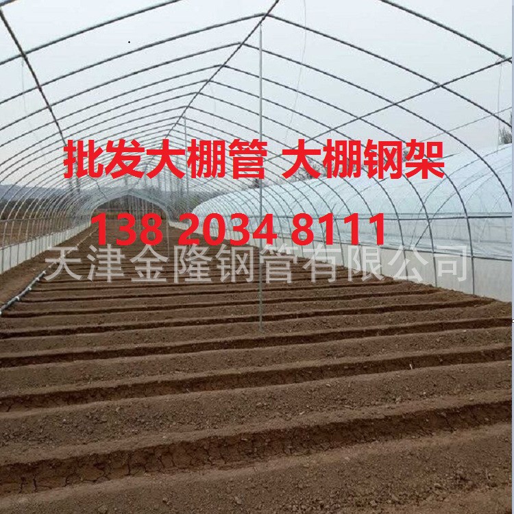 厂家供应大棚 日光温室大棚 木耳大棚 蔬菜大棚 拱棚 养殖大棚 等