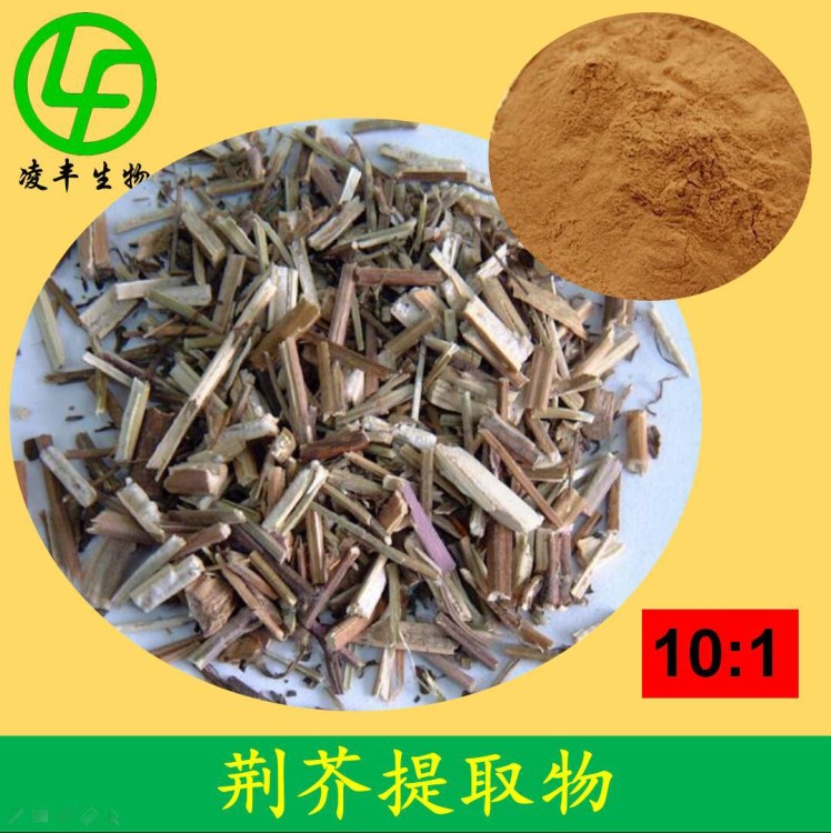 荆芥提取物 荆芥皂甙内脂 10:1 荆芥比例提取物、厂家现货