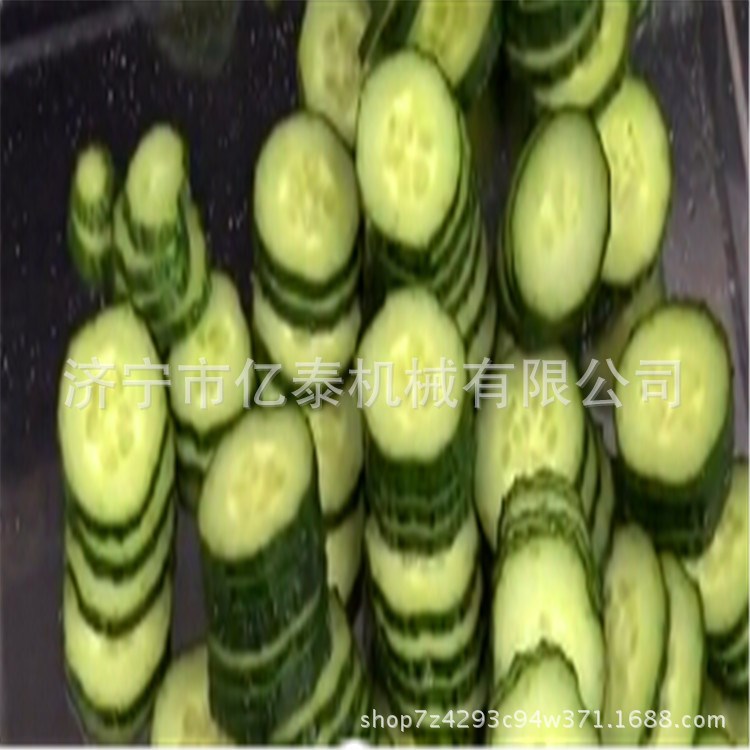 食品厂商用香菜切段机 生菜白切切丝机 小型韭菜切段机