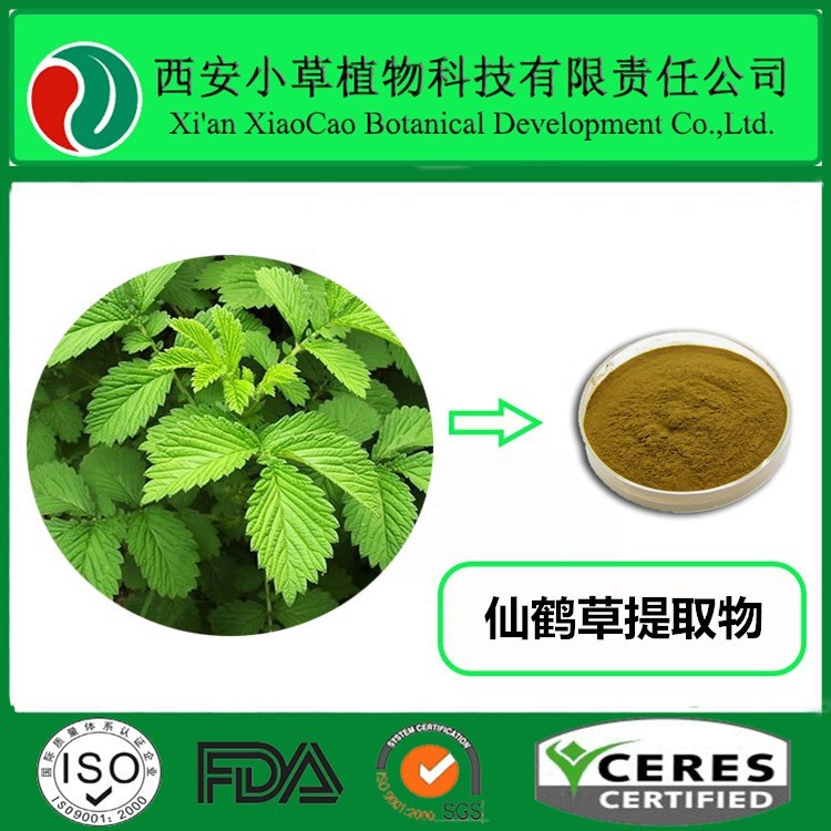 厂家现货供应仙鹤草提取物 10:1 仙鹤草粉