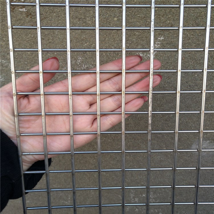 304不锈钢电焊网/钢丝网片/机器防护网/方孔网/防鼠网/围栏网