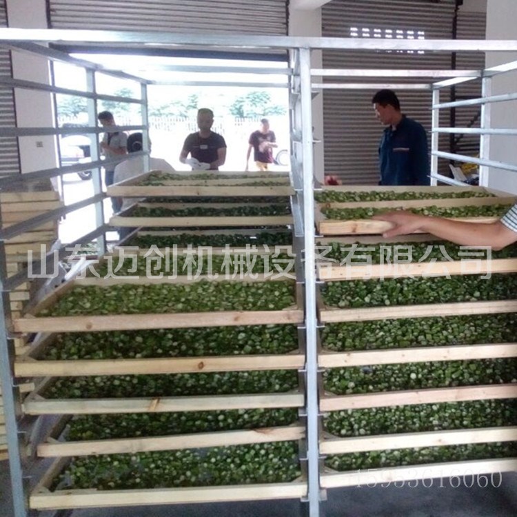 生产小型蔬菜水果干燥设备 热风循环烘箱干燥机 秋葵脱水烘干机