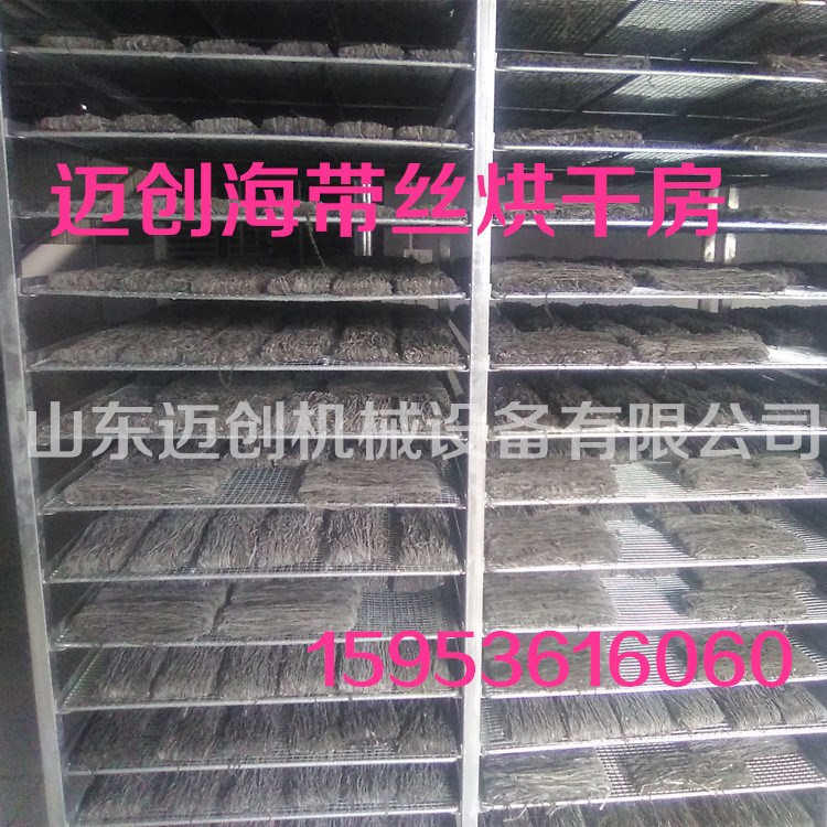 新款海产品海参烘干箱 海带烘干机 热风烘干箱 海带烘干设备