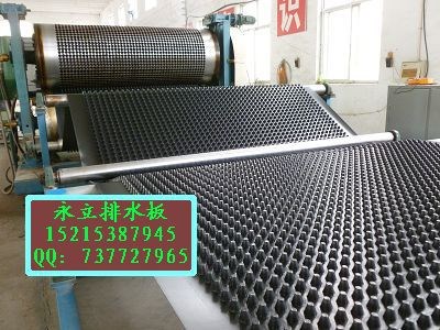 加强型蓄排水板*滁州车库排水板供应
