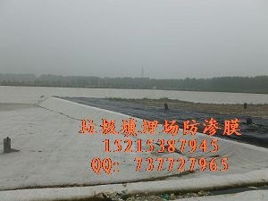济宁屋顶防渗膜#隔根层&amp;排水板厂家供应