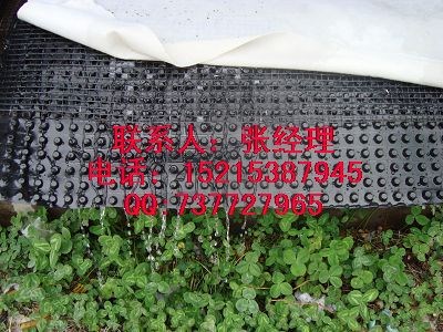 【推荐】东营排水板济宁屋顶绿化排水板土工布