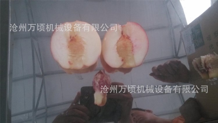 黄桃去核机秦桃子挖核机