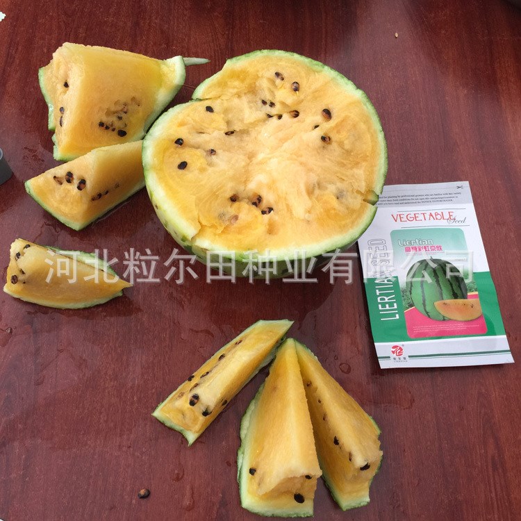 高端特色礼品京欣西瓜种子品种 粒尓田高糖彩虹京欣西瓜种子包邮