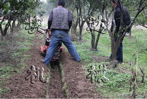 新疆哈密瓜种植开沟培土机 浇地开渠机 阜城县