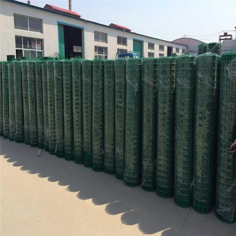 厂家生产销售 荷兰网 包塑电焊网 绿皮铁丝网 规格 现货供应