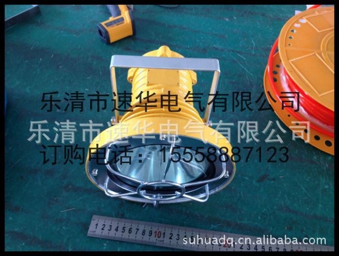 厂家直销DGS54/127L(A) 矿用隔爆型LED投光灯