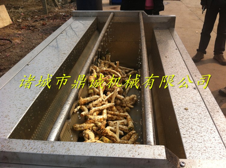 供应土豆清洗脱皮机、土豆毛辊清洗机食品级不锈钢耐用