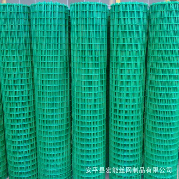 荷兰网 圈地铁丝网 养殖围栏网 浸塑电焊网