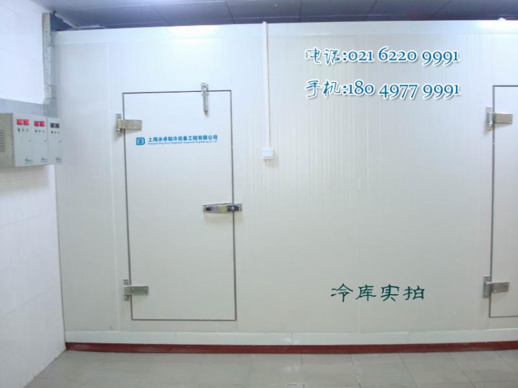 生产精品冷库 大中小型 葡萄 西瓜保鲜冷库 免费设计 报价 安装