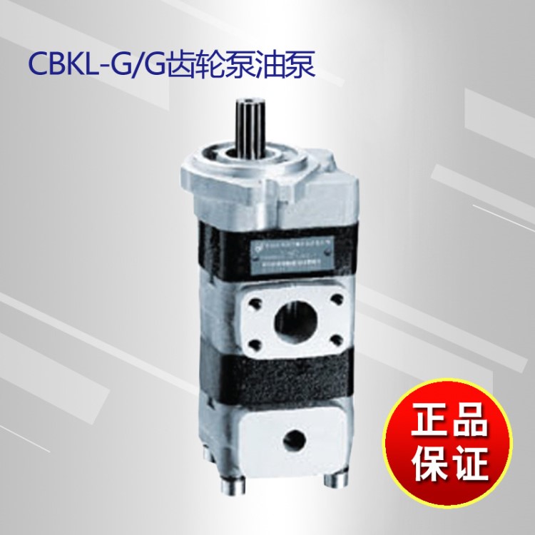 CBKL-G/G齿轮泵油泵