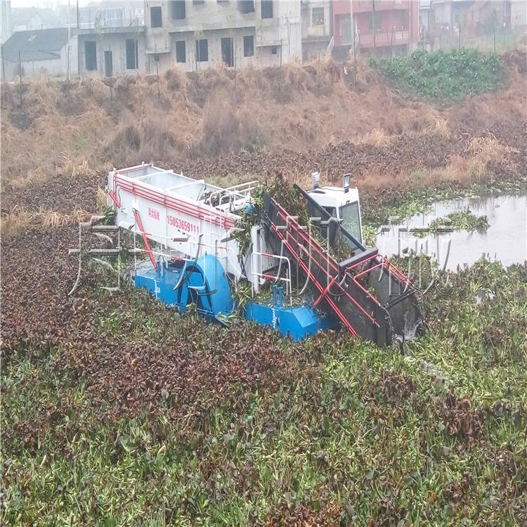 水草清洁收割船 河道水生植物清捞设备 水葫芦打捞船厂家