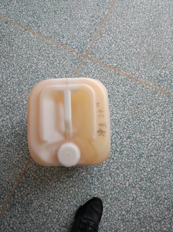 供应灵芝孢子油，灵芝孢子粉超临界萃取