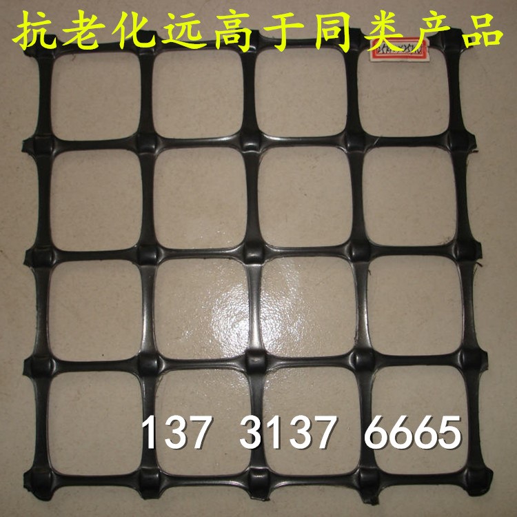 厂家生产 供应 黑色方孔 双向拉伸pe pp网 规格 可定制
