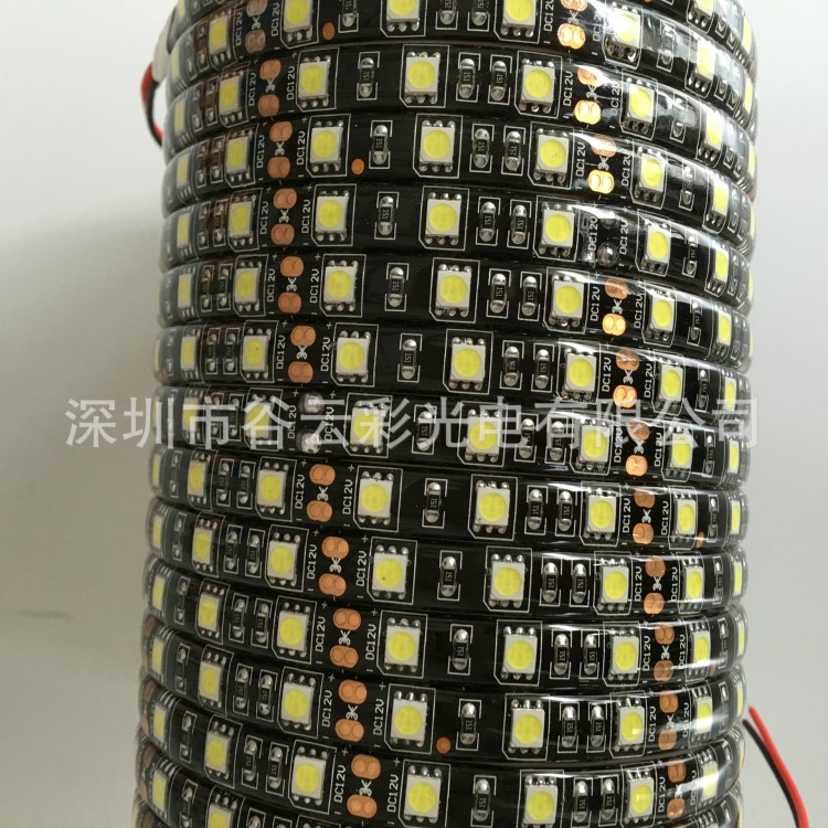 5050黑板灯带 60珠一米 单色rgb灯条 低压12V24V 裸板/滴胶防水