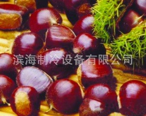 板栗保鲜库安装 水果保鲜冷库 果蔬冷藏库价格 出售保鲜库