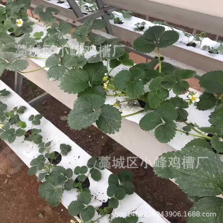 厂家直销多种规格草莓立体式种植槽A字架生态环保无土栽培种植槽