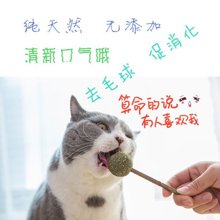 猫咪逗猫糖猫薄荷猫草棒棒糖猫咪磨牙棒棒棒糖猫咪玩具猫咪用品