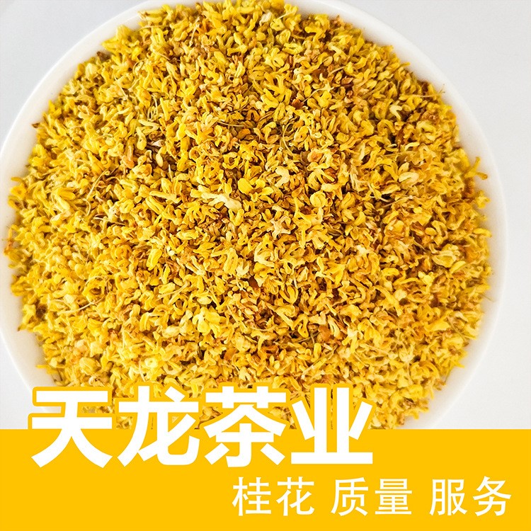 天龙茶业批发花草茶精选桂花/桂花茶/桂花干散装量大从优厂家直销