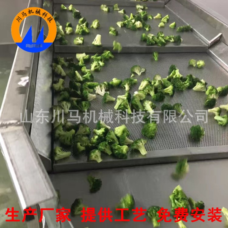 深圳净菜加工生产线厂家 蔬菜喷淋气泡清洗设备价格 免费安装调试