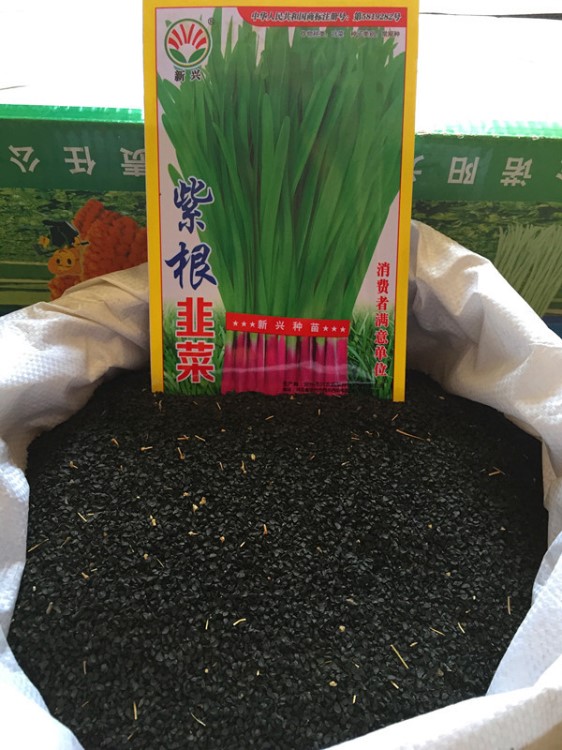 紫根韭菜籽-小香韭菜-蔬菜种子- 多年多次采收-保健-散装