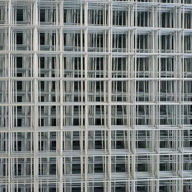镀锌建筑网片 厂家直销养殖防护装饰网大量现货