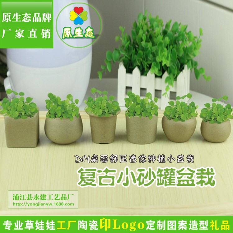 DIY种植多肉小花盆 微景观 长草头娃娃 原生态卡通盆栽 陶瓷摆件