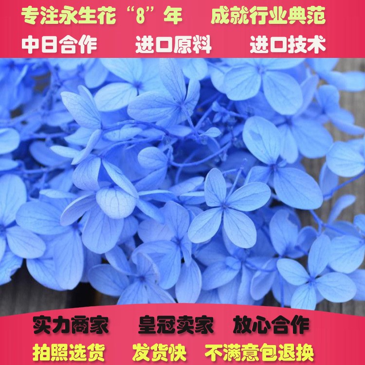 中小叶塔状木绣球永生花花材 圣诞节情人节生日礼盒礼盒配材资材