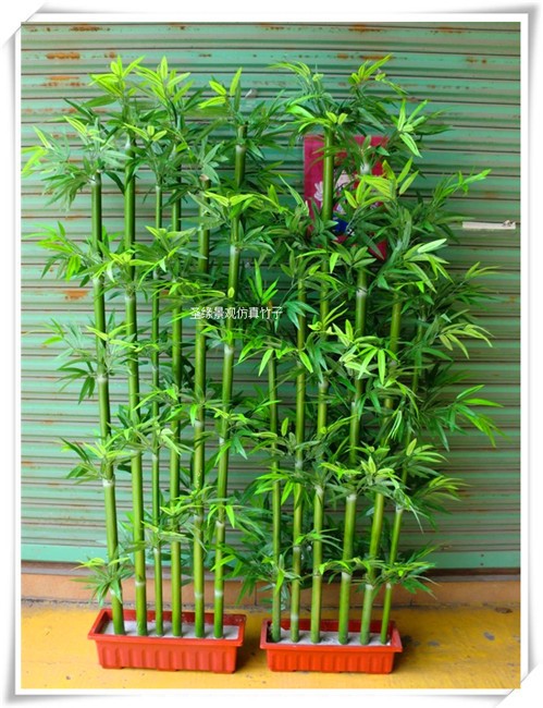 仿真竹子 仿真绿植 过胶竹叶手感好 风水摆放竹子 盆栽竹子批发