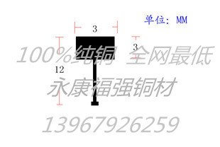 厂家直销国标水磨石铜条 3x12 装饰铜条扣条 地面分隔条 铜分隔条