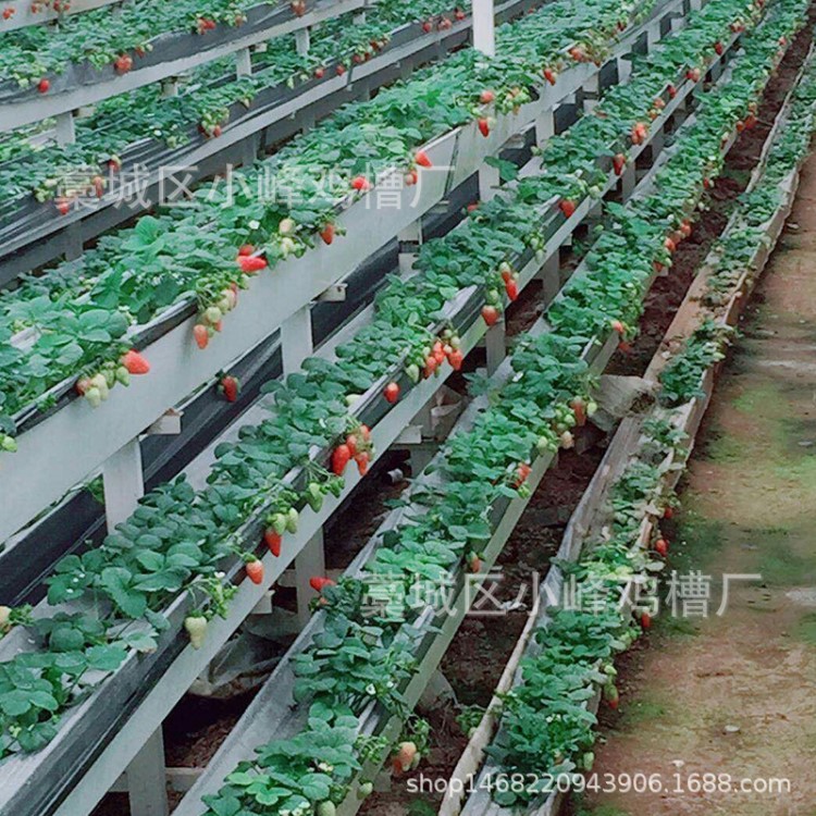 厂家批发生态环保无土栽培种植槽 草莓立体式无土栽培种植槽价格