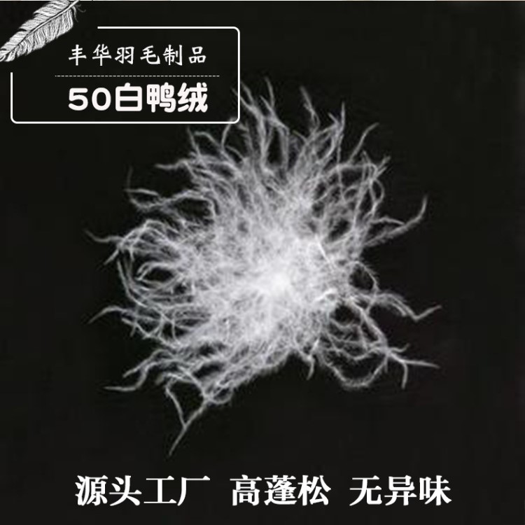 厂家直销日标水洗50羽绒大朵白50白鸭绒羽绒羽毛批发价格